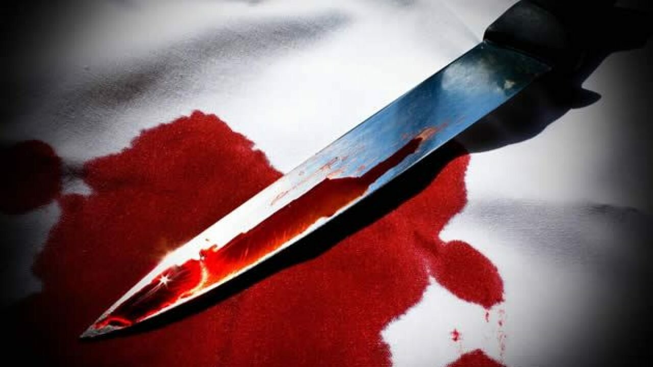 Sudanese Stabs 2 To Death, Injures 7 In France After Shouting 'Allahu Akbar'